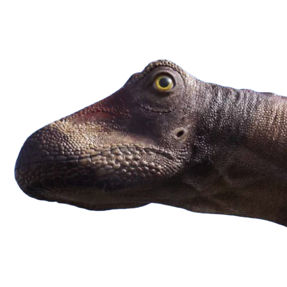 Ponsaur Coin Image